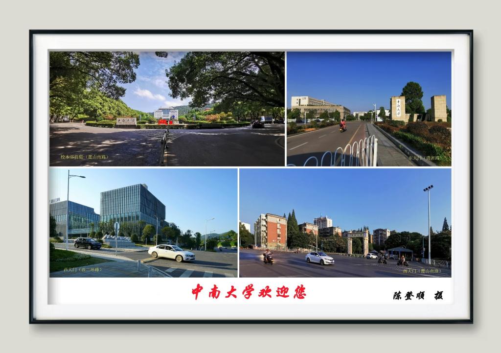 tapplay官网