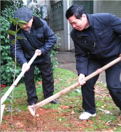 tapplay官网