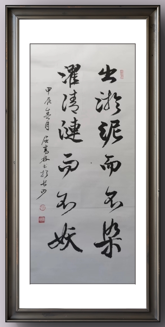 tapplay官网