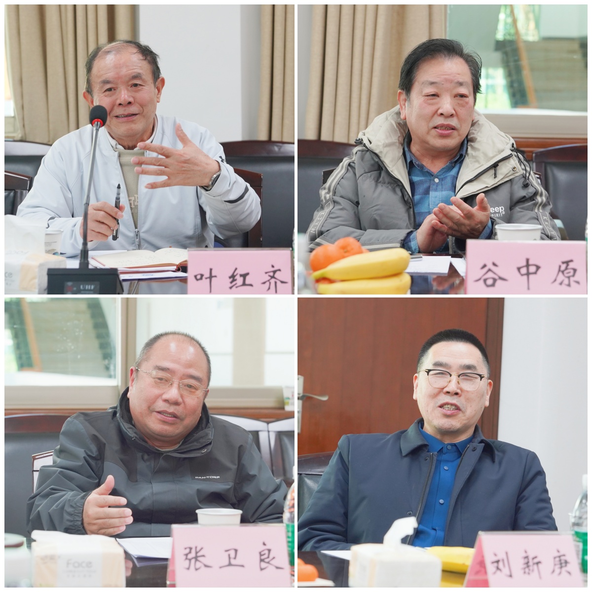 tapplay官网